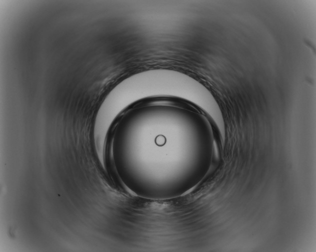 X0000091730570200708311205