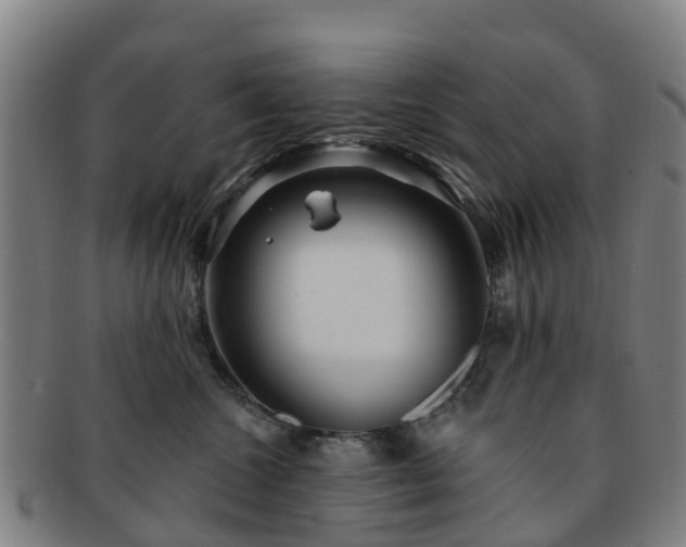 X0000091730572200708311205