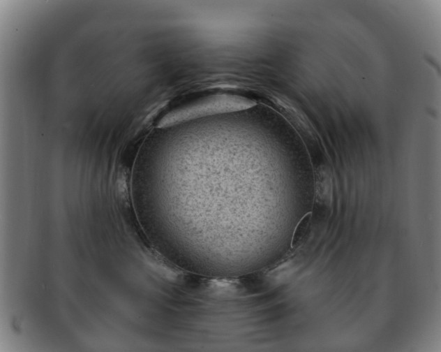 X0000091730573200708311205