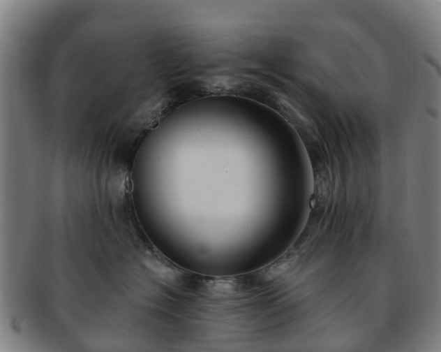 X0000091730574200708311205