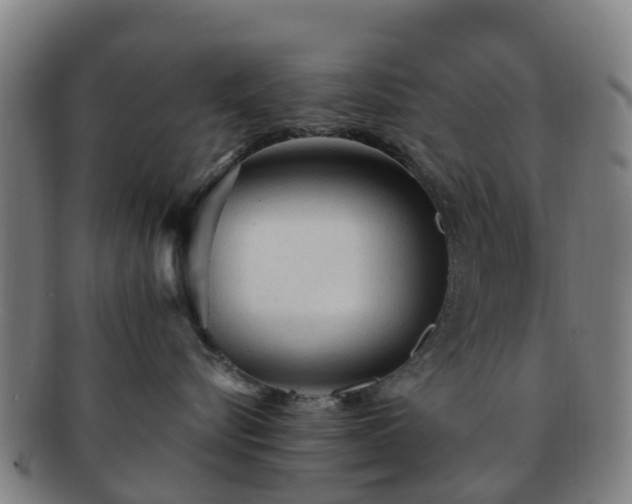 X0000091730576200708311205