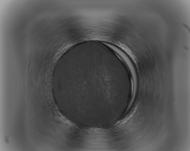 X0000091730577200708311204