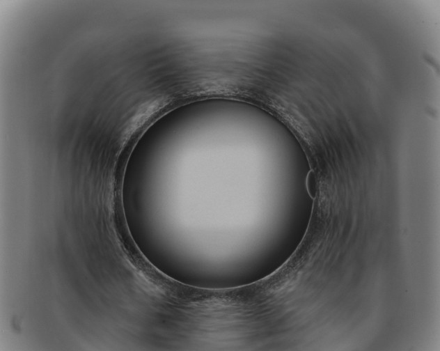 X0000091730578200708311204