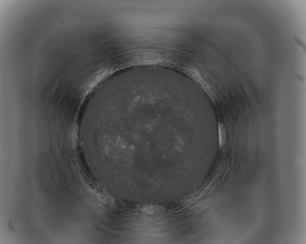 X0000091730579200708311204