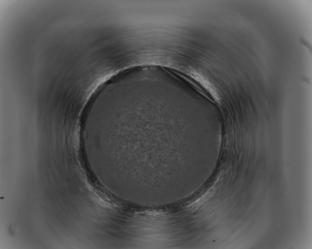 X0000091730580200708311204