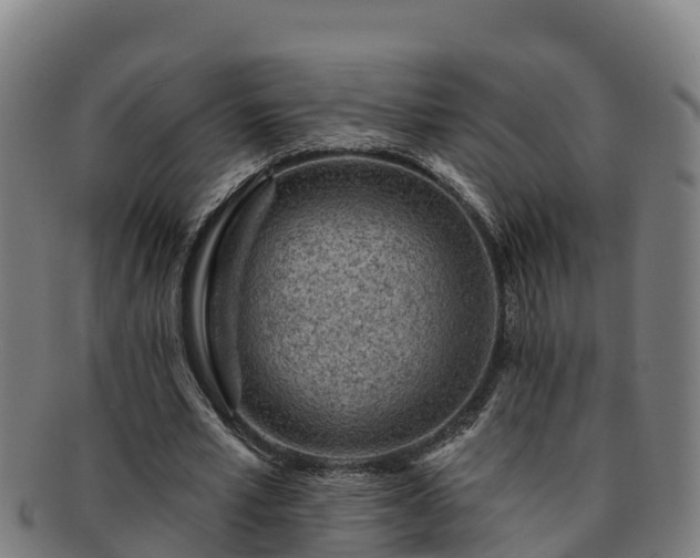 X0000091730581200708311204