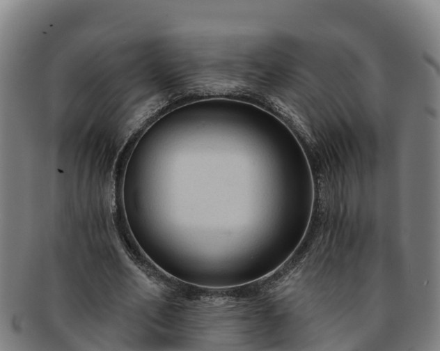 X0000091730582200708311204