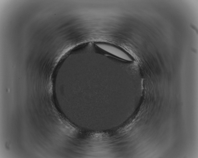 X0000091730584200708311204