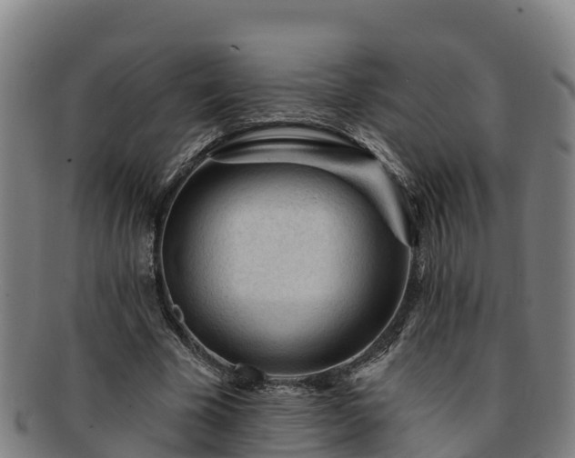 X0000091730585200708311204