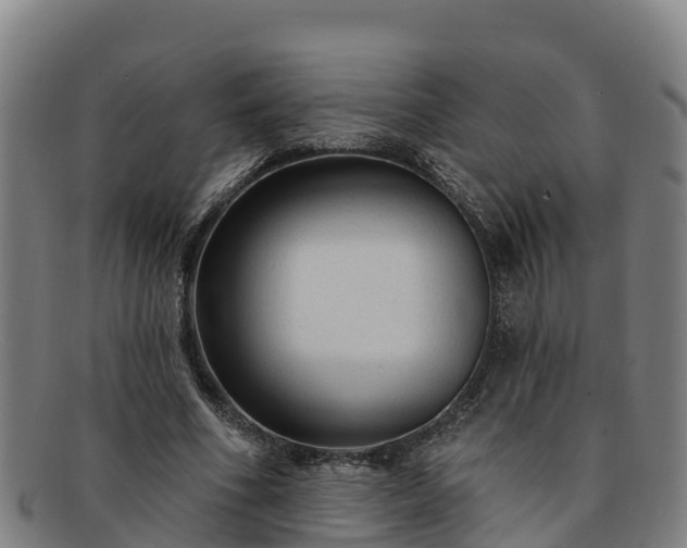 X0000091730586200708311204