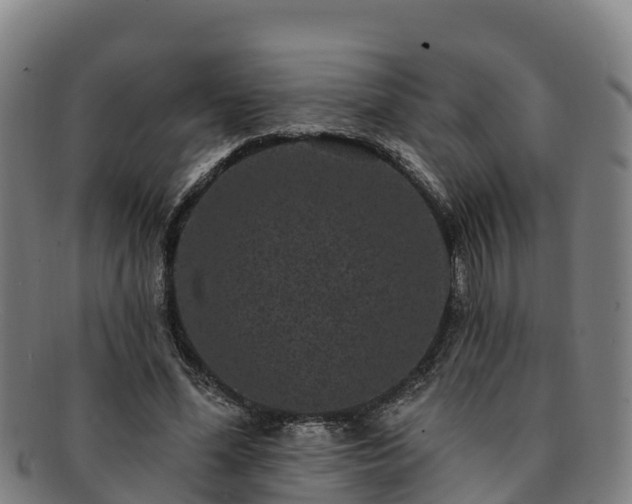X0000091730588200708311204