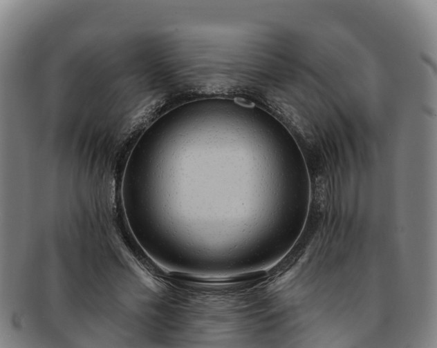 X0000091730589200708311204