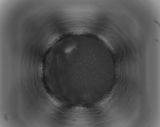 X0000091730590200708311204