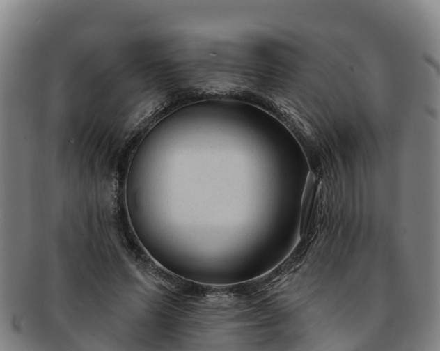 X0000091730591200708311204