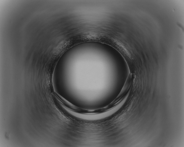 X0000091730593200708311204