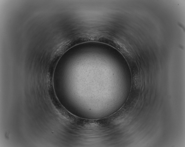 X0000091730594200708311204