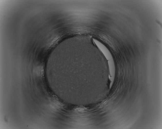 X0000091730595200708311204