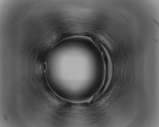 X0000091730597200708311204