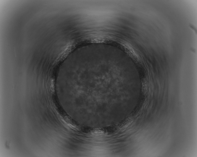 X0000091730598200708311204