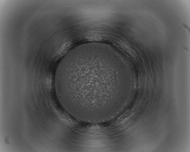 X0000091730600200708311204