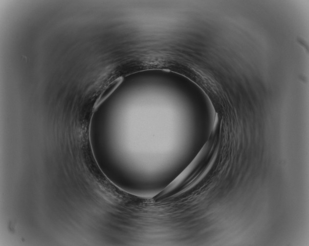X0000091730601200708311204
