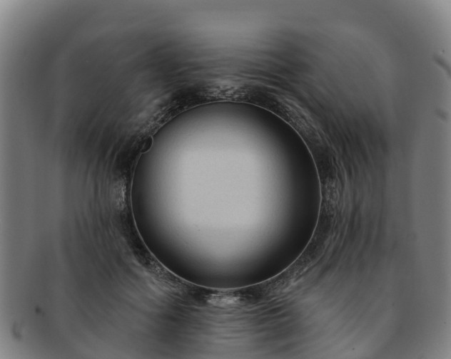 X0000091730602200708311204