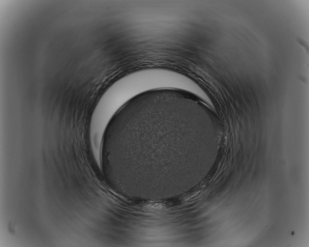 X0000091730604200708311204