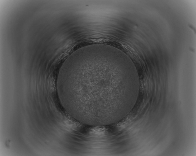X0000091730606200708311203