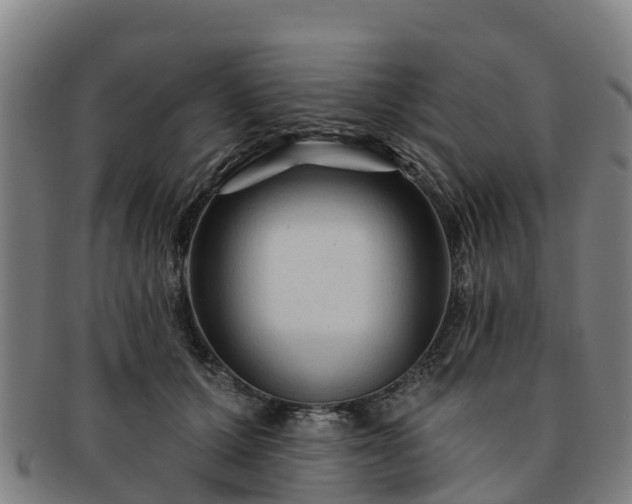 X0000091730607200708311203