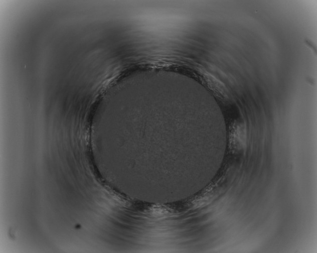 X0000091730608200708311203