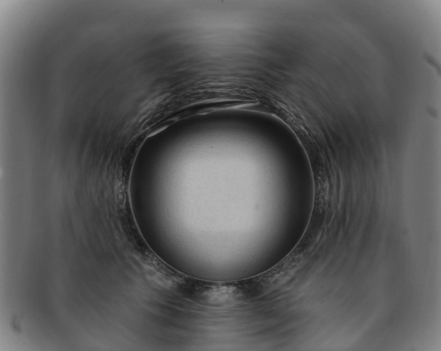 X0000091730609200708311203