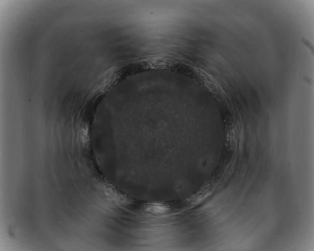 X0000091730610200708311203