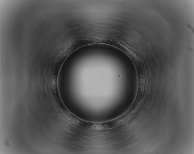 X0000091730613200708311203