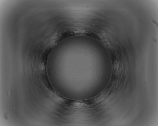 X0000091730614200708311203