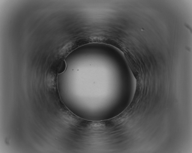 X0000091730619200708311203