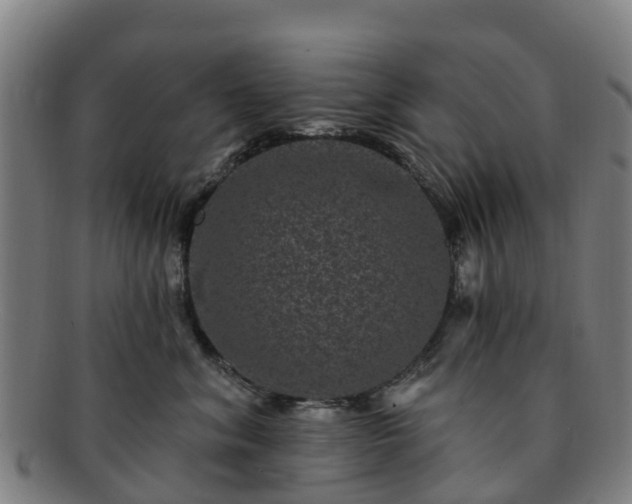 X0000091730620200708311203