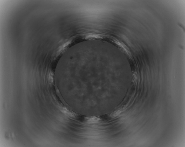 X0000091730621200708311203