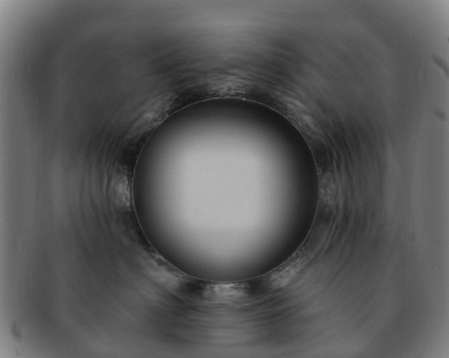 X0000091730622200708311203