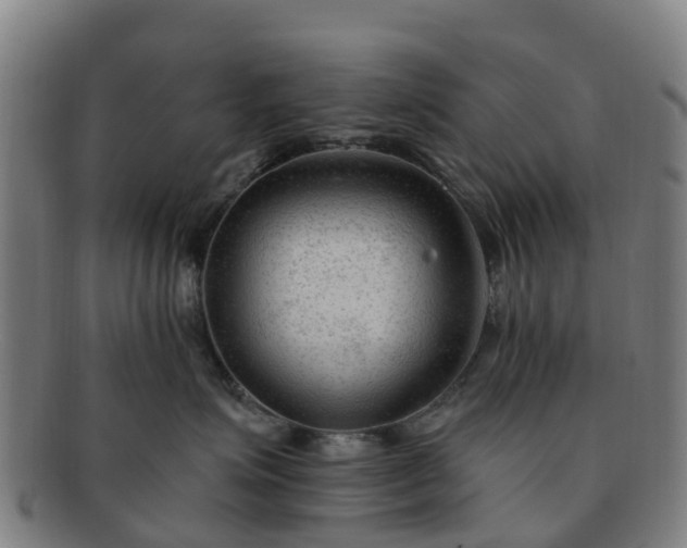 X0000091730623200708311203