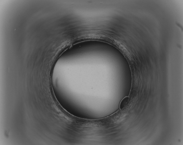 X0000091730625200708311202