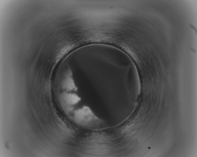X0000091730626200708311202