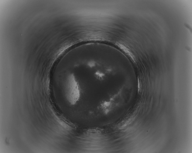 X0000091730627200708311202