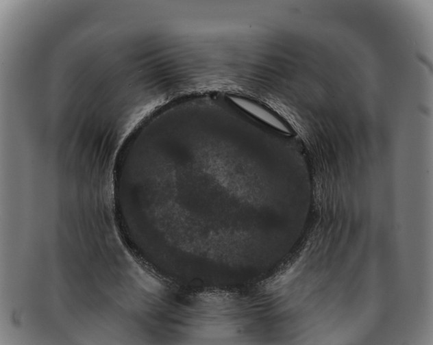 X0000091730630200708311202