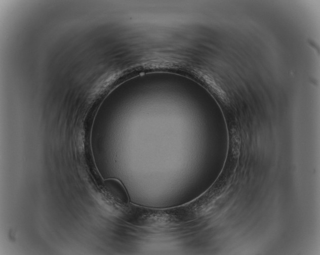 X0000091730631200708311202