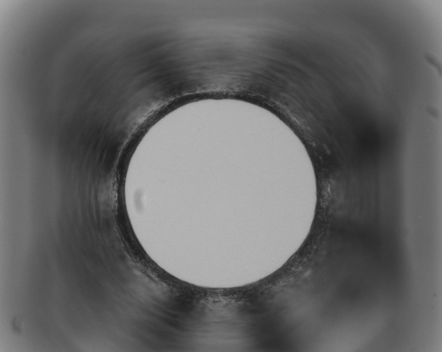 X0000091730632200708311202