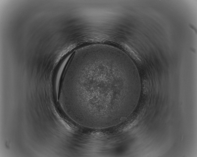 X0000091730634200708311203