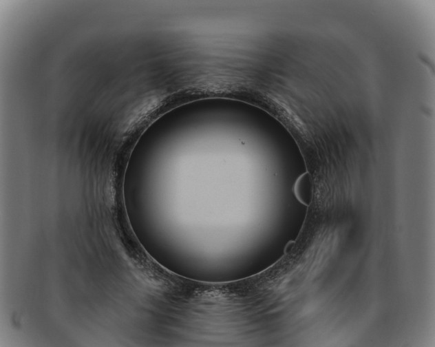 X0000091730635200708311203