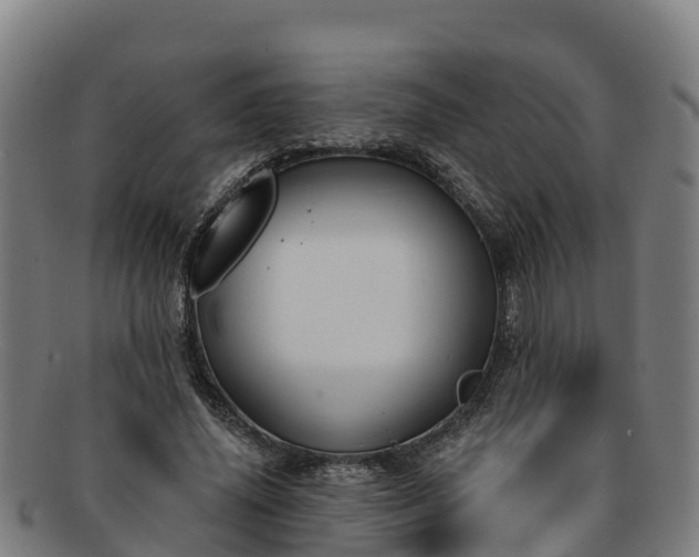 X0000091730636200708311203