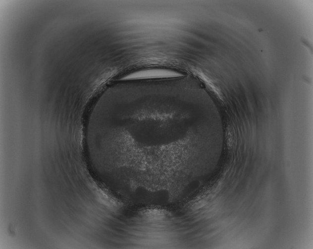 X0000091730637200708311203