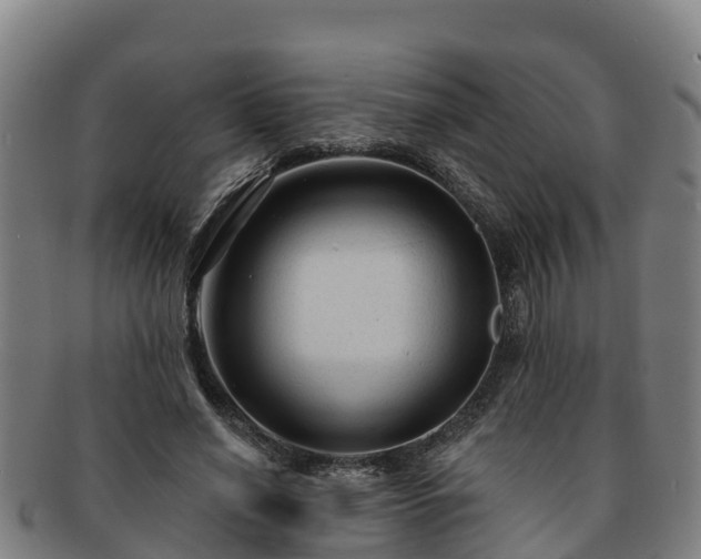 X0000091730638200708311203